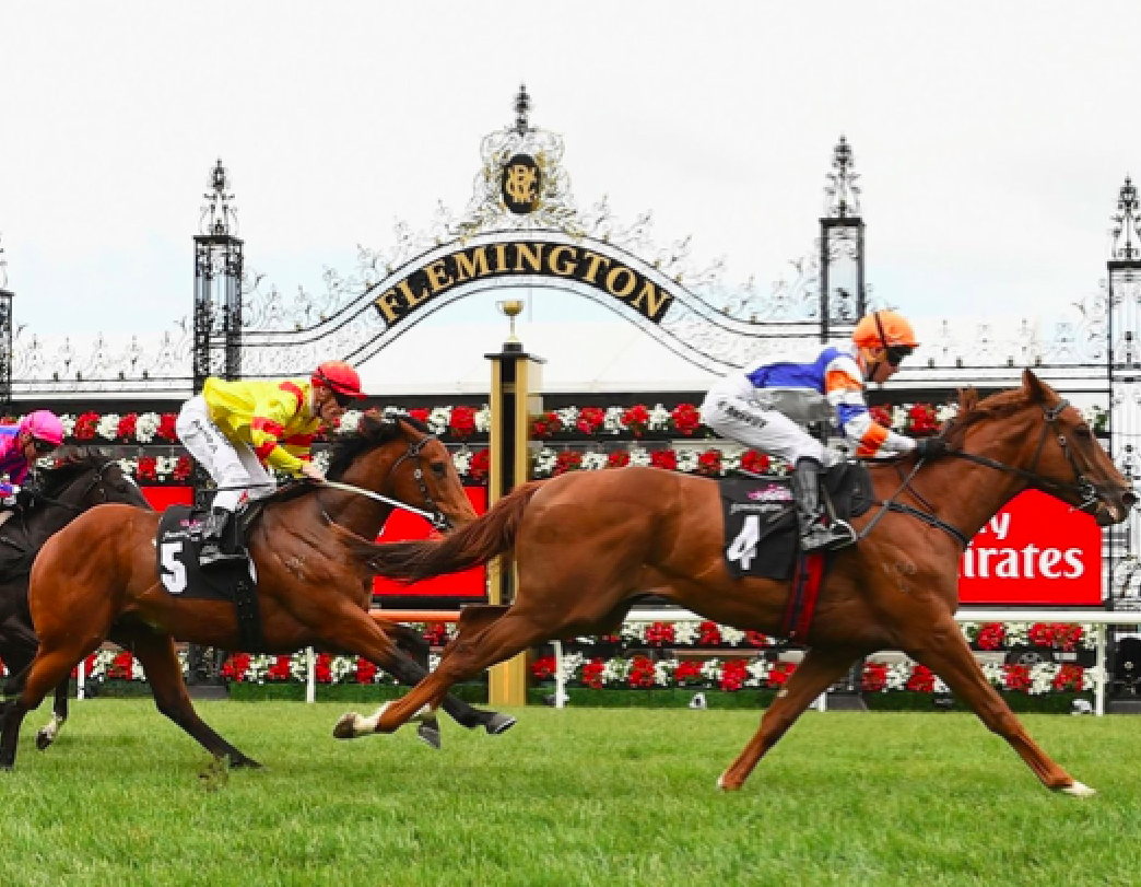 Melbourne Cup 2022 Public Holiday Mornington Medical Group